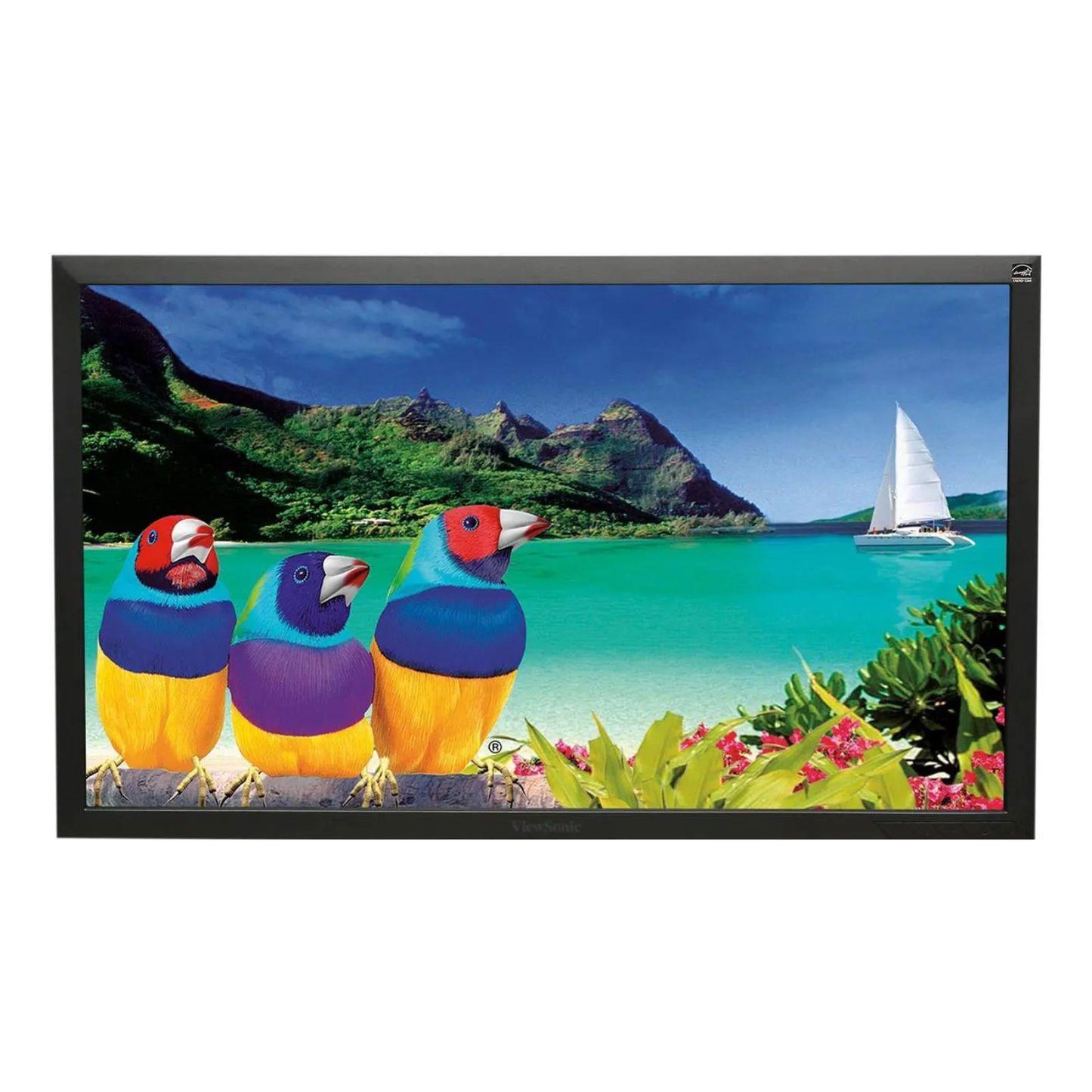 VIEWSONIC VG2439M 24" FHD 1920X1080 LED MONITOR DP VGA DVI PORT / WITHOUT STAND MONITOR FOR HOME & OFFICE USE   -  GOOD REFURBISHED