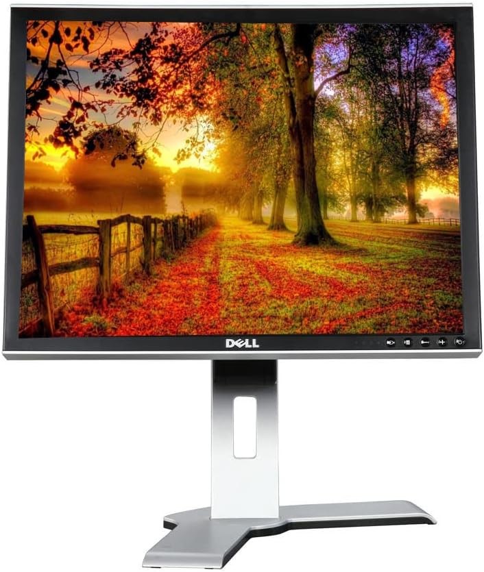 DELL P2210F 22" INCH FHD 1920×1080 LED COMPUTER MONITOR DISPLAY PORT VGA DVI