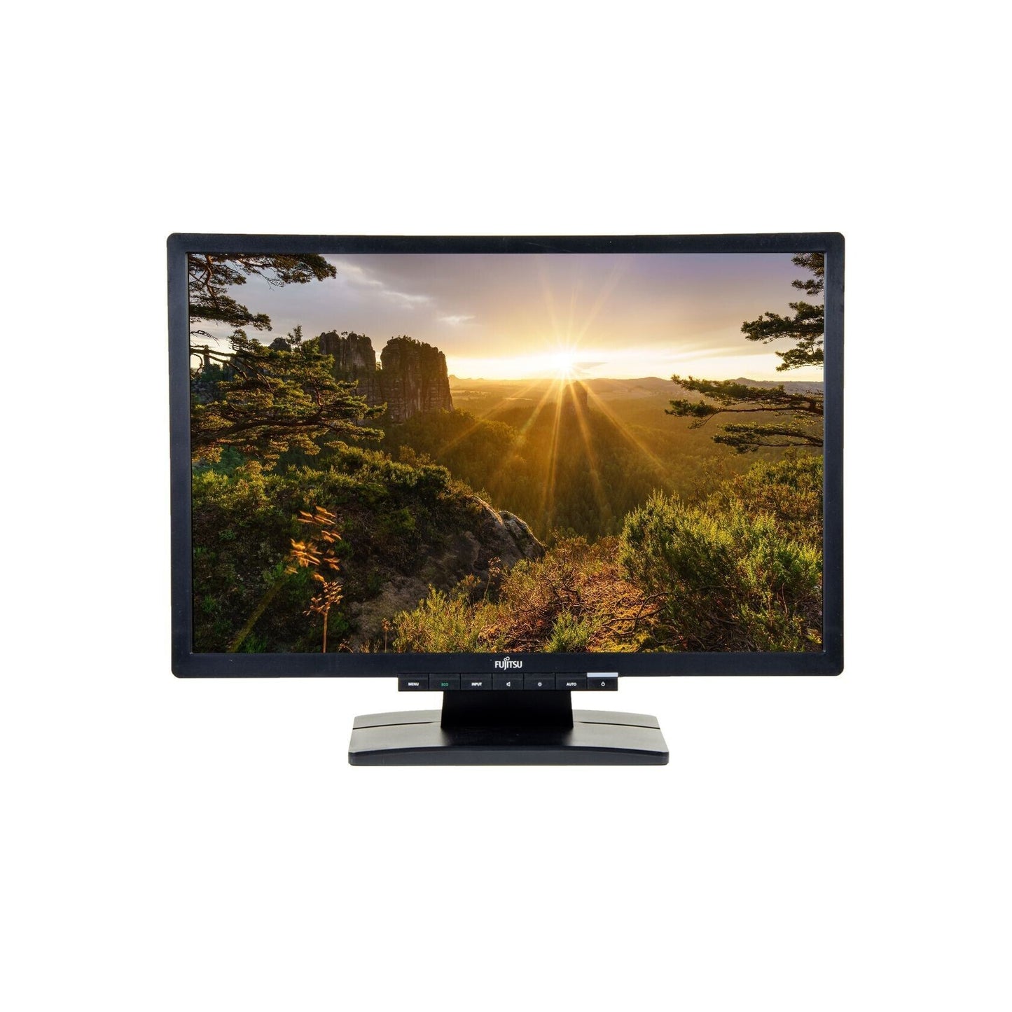 FUIJITSU E22W-6 22" WIDESCREEN VESA MOUNT ADJUSTABLE MONITOR DISPLAY NO STAND