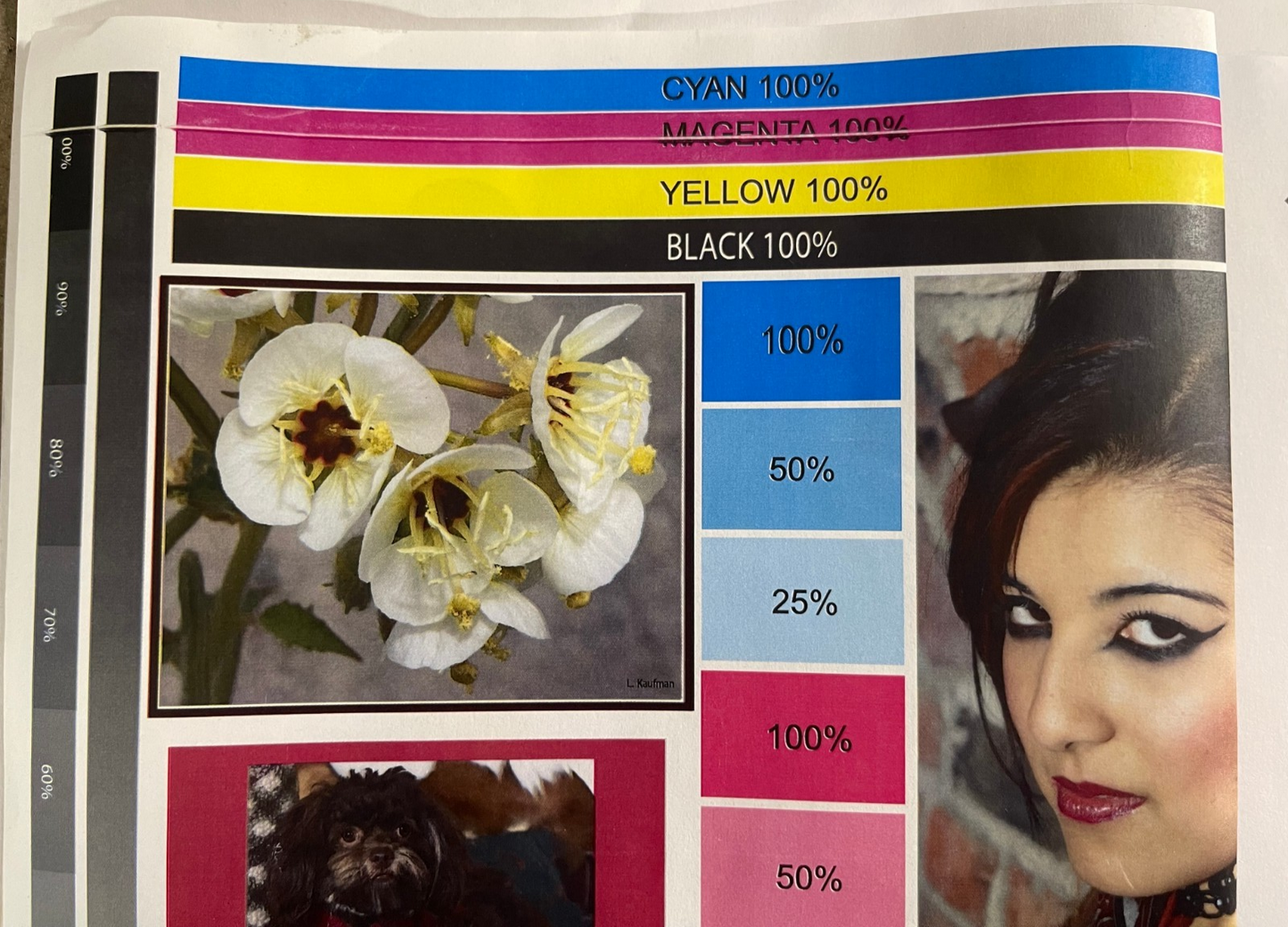 HP LASERJET CP5225DN A3 COLOR PRINTER AUTO DUPLEX NETWORK USB 20PPM WIDE FORMAT