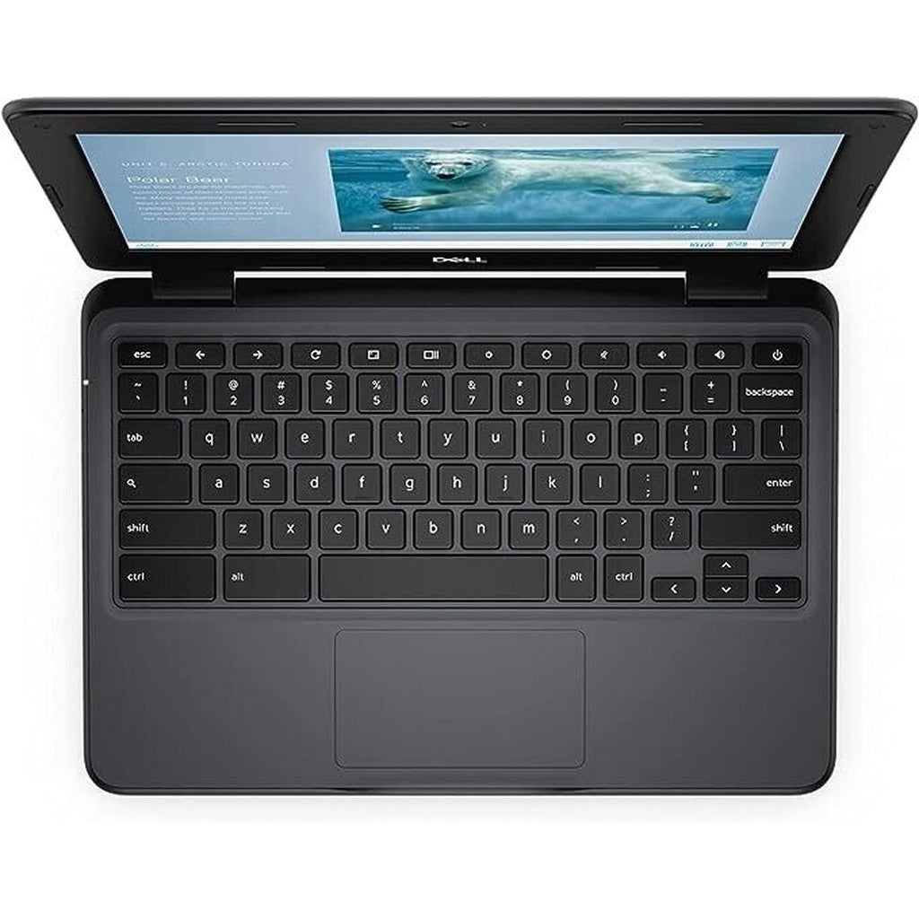 FAST DELL CHROMEBOOK 11 3100 CELERON N4000 CHROME OS 4GB 16GB USB C 11.6" HD