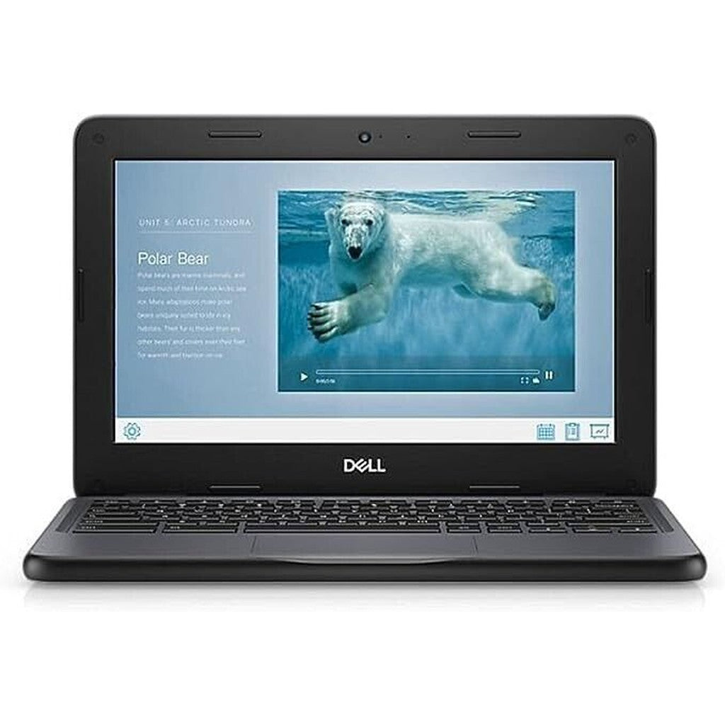 FAST DELL CHROMEBOOK 11 3100 CELERON N4000 CHROME OS 4GB 16GB USB C 11.6" HD