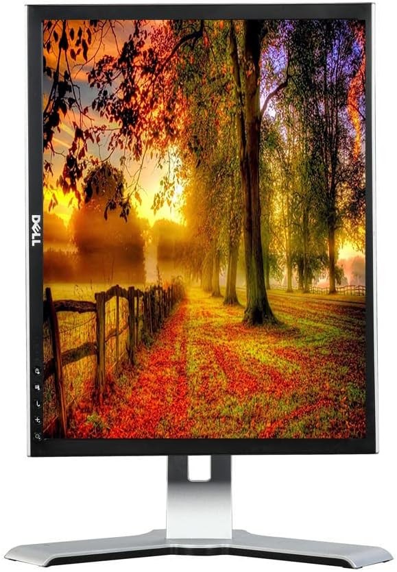 DELL P2210F 22" INCH FHD 1920×1080 LED COMPUTER MONITOR DISPLAY PORT VGA DVI