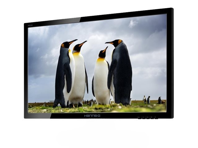 HANNSG HE225 21.5" FHD 1920×1080 LED MONITOR VGA DVI PORT WITHOUT STAND